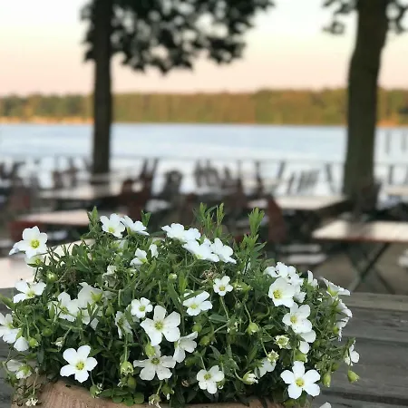 Heydewirt Am Peetzsee Gasthof