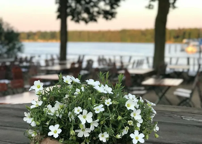 Heydewirt Am Peetzsee Guest house